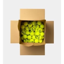 Dunlop Tennisbälle Fort Xtra Life (drucklos, speziell für Slinger Ballmaschine) - 72 Stück