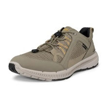 ECCO Wanderschuhe Terracruise ll W TEX GTX (wasserdicht, strapazierfähige Sohle) sagegrün Damen