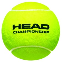 Head Tennisbälle Championship Dose <b>36x4er im Karton</b>