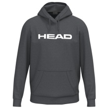 Head Kapuzenpullover Club Original Hoodie (Mischgewebe) grau Jungen