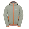 Jack Wolfskin Softshelljacke Fourwinds 2024 (robust, atmungsaktiv) graugrün Kinder