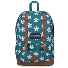 JanSport Alltags-Rucksack Cortlandt grün 25 Liter