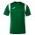 Joma Sport-Tshirt Dinamo (100% Polyester) grün Herren