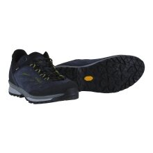 Lowa Wanderschuhe Delago Low GTX (Trekking, Veloursleder, wasserdicht) 2025 navyblau/farn Herren