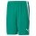 Puma Sporthose teamLIGA Shorts kurz grün Herren