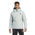 adidas Daunenjacke Traveer COLD.RDY hellblau Herren