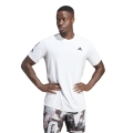 adidas Tennis-Tshirt Club 3-Streifen weiss Herren