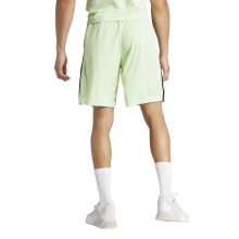 adidas Trainingshose Train Essentials Piqué 3-Streifen Shorts (weich, atmungsaktiv) kurz grün/schwarz Herren