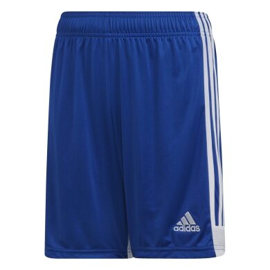 adidas Sporthose Tastigo 19 Shorts (Fussball, feuchtigkeitsableitend) kurz blau Jungen