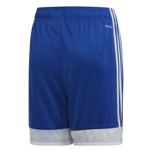 adidas Sporthose Tastigo 19 Shorts (Fussball, feuchtigkeitsableitend) kurz blau Jungen