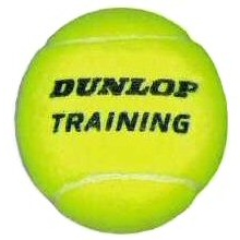 Dunlop Tennisbälle Training (drucklos) gelb Polybag 60er