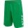 hummel Sporthose hmlCORE XK Poly Shorts (robuster Doppelstrick, ohne Seitentaschen) Kurz grün Herren