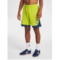 hummel Sporthose hmlLEAD Poly Shorts (Mesh-Stoff) Kurz limegrün Herren