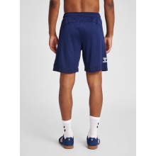 hummel Sporthose hmlLEAD Poly Shorts (Mesh-Stoff) Kurz marineblau Herren