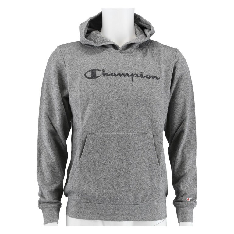 Champion Kapuzenpullover (Hoodie) Classic Big Jungen Logo grau bestellen Print online