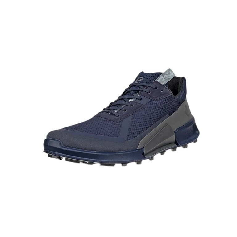 ECCO Wanderschuhe Biom 2.1 X Country Low GTX (wasserdicht) skyblau/magnetgrau Herren