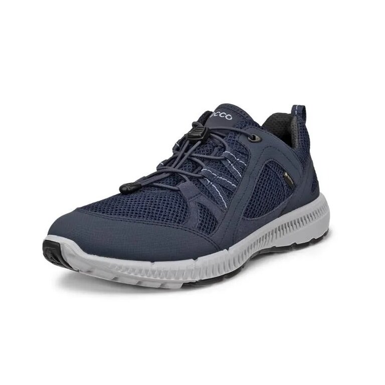 ECCO Wanderschuhe Terracruise ll W TEX GTX (wasserdicht, strapazierfähige Sohle) marineblau Damen