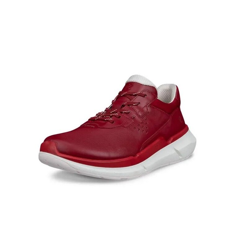 ECCO Sneaker Biom 2.2 Low Lea (Premium-Leder) burgundrot Damen