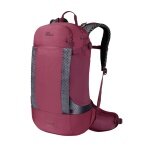 Jack Wolfskin Fahrrad-/ Multisportrucksack Phantasy (Helmfixierung, Tragesystem) weinrot 20 Liter