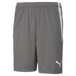 Puma Sporthose teamLIGA Shorts kurz grau Herren