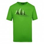 Salewa Tshirt Graphic Dry grün Herren