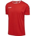 hummel Sport-Tshirt hmlAUTHENTIC Poly Jersey (leichter Jerseystoff) Kurzarm rot Herren